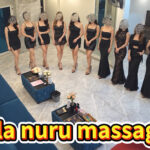 stella-lineup-room-1.jpg